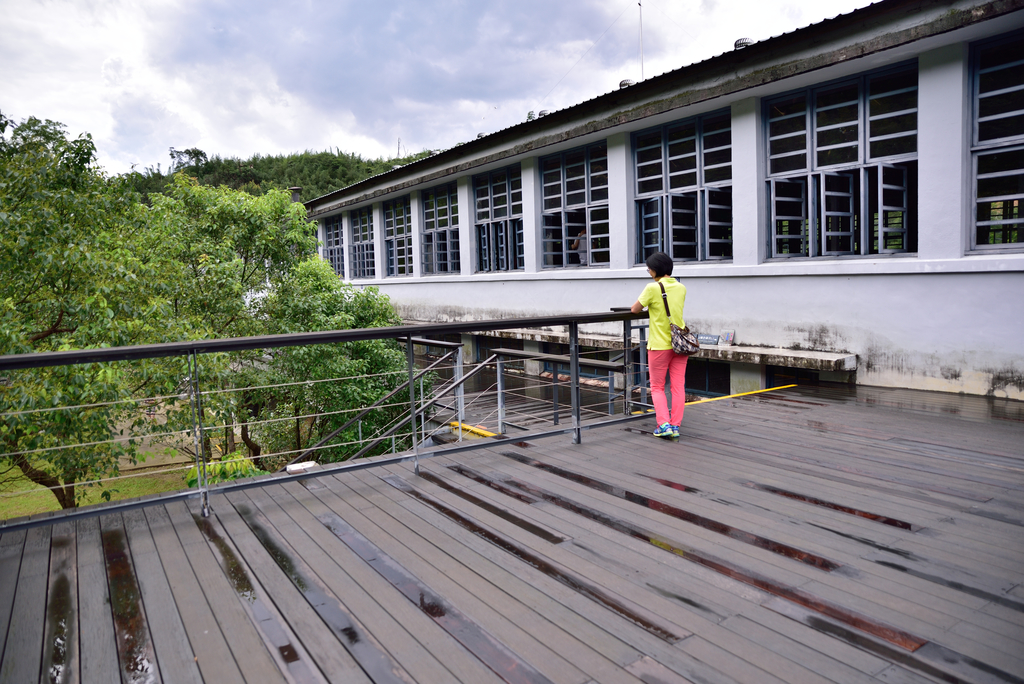 DSC_0185_4560.JPG - 2019大溪老茶廠