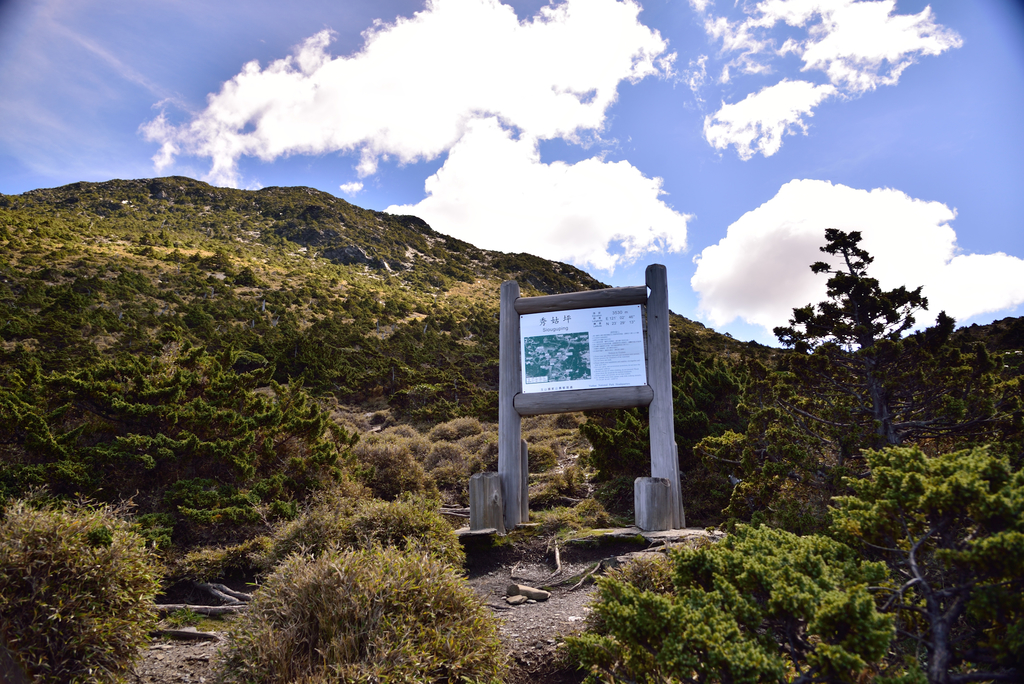 DSC_4886_7011.JPG - 南二段D5~6