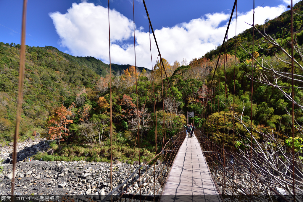 DSC_3716_872.JPG - 秀巒楓情