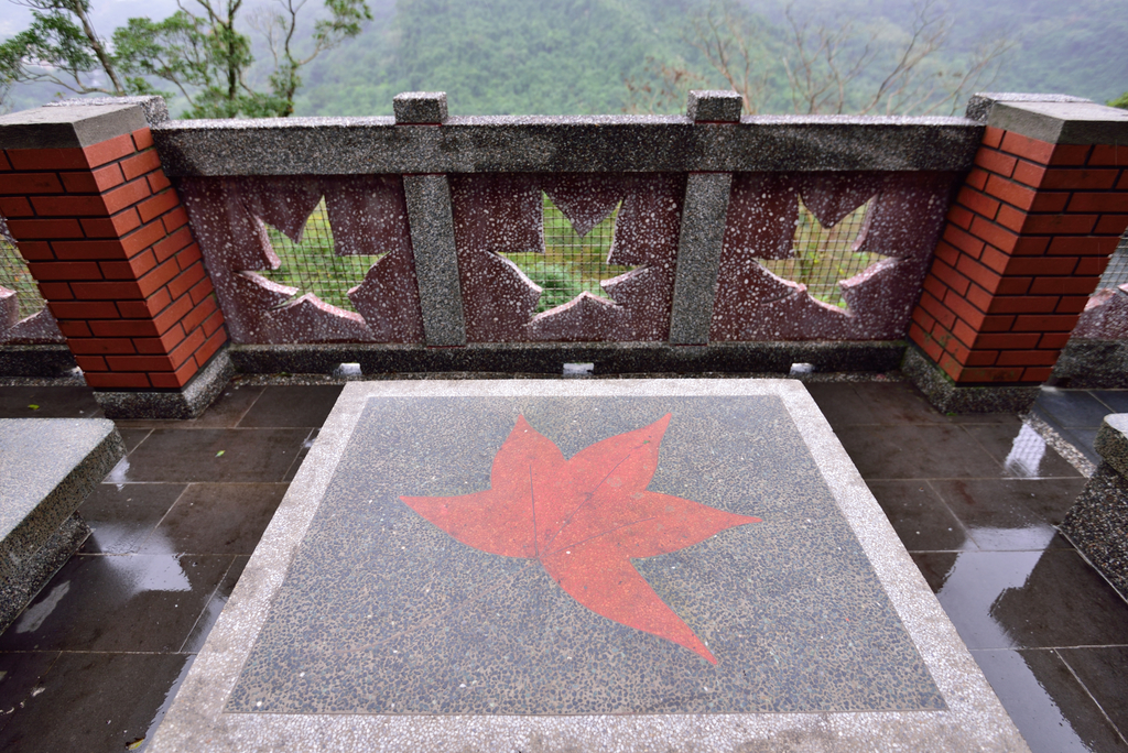 DSC_2371_5844.JPG - 楓情款款—拱北殿2020/01/01