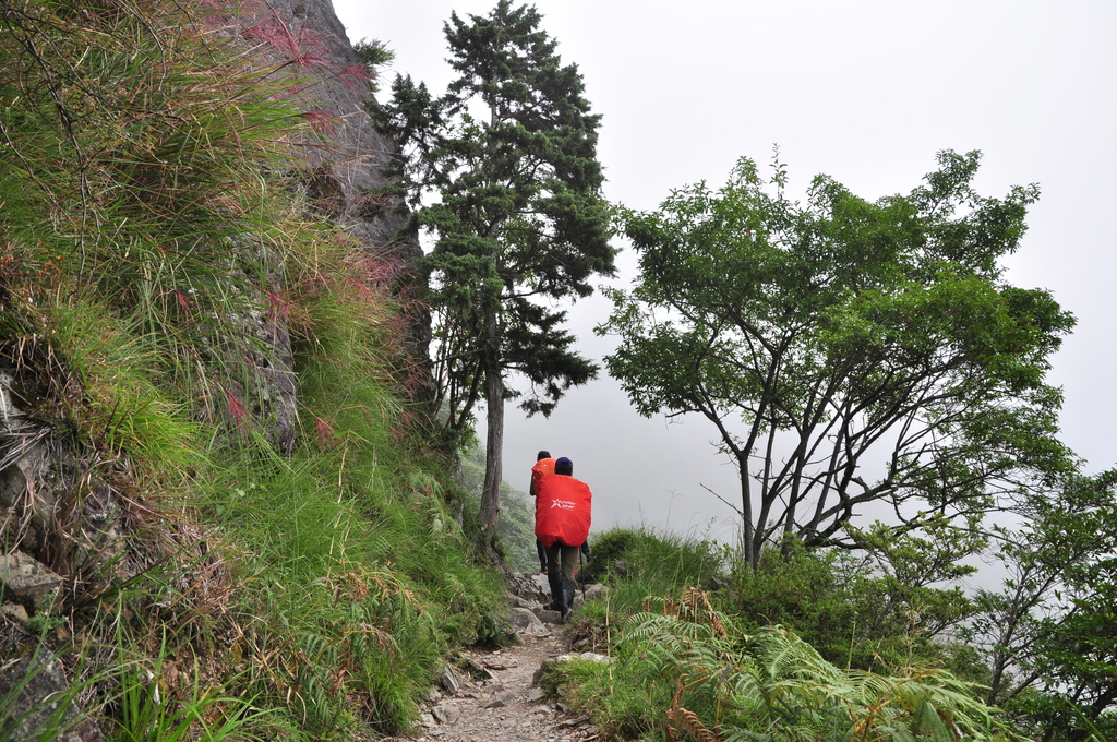 DSC_8296.JPG - 201609玉山主東峰
