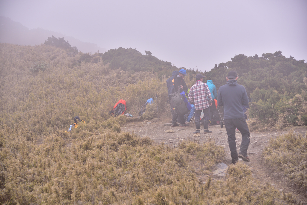 DSC_9128_3956.JPG - 南湖D2