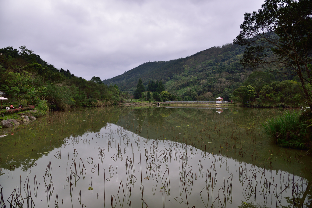 DSC_8165_3433.JPG - 2019向天湖山