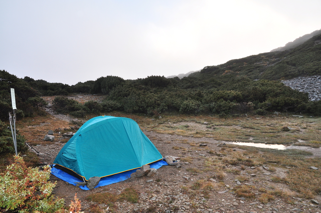 DSC_8987.JPG - 2016玉山後四峰
