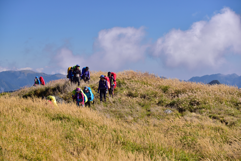 DSC_1726_5532.JPG - 2019能安縱走(下)