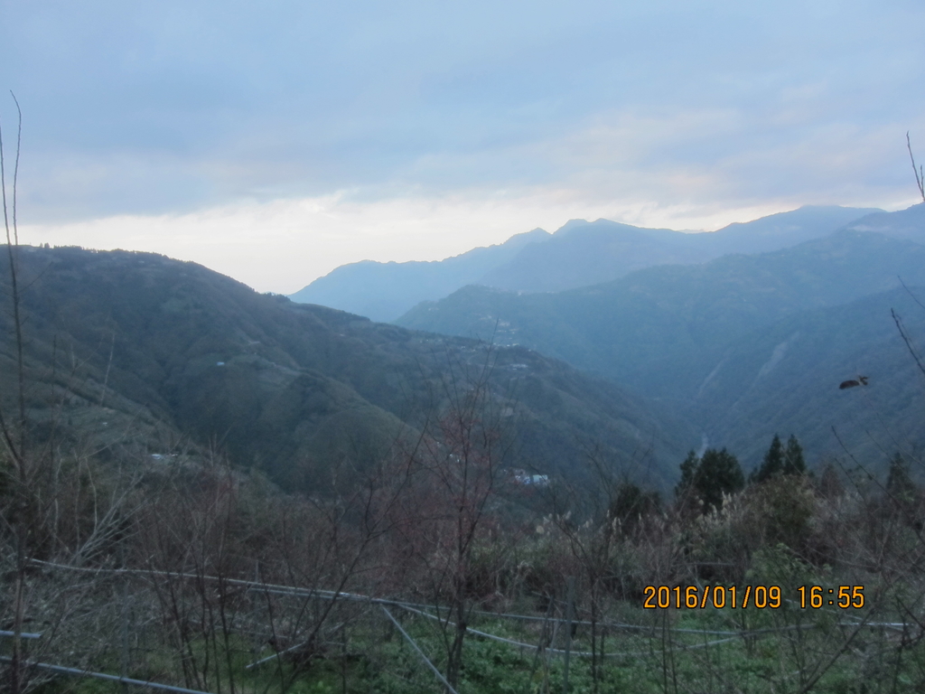 IMG_3915.JPG - 2016低陸山