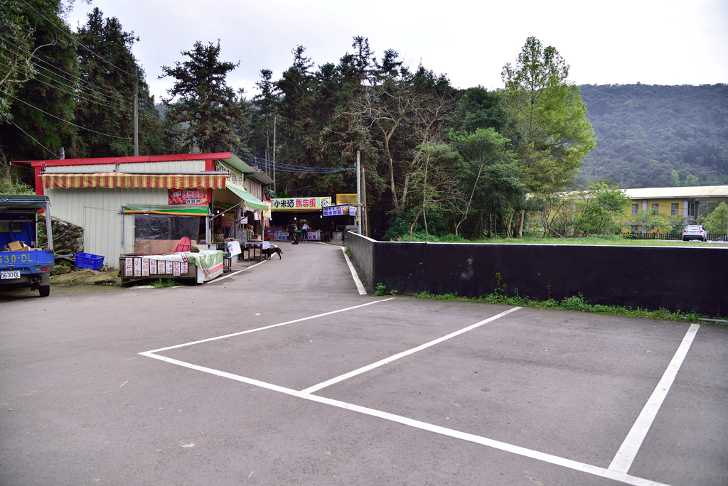 DSC_7999_3357.JPG - 2019向天湖山
