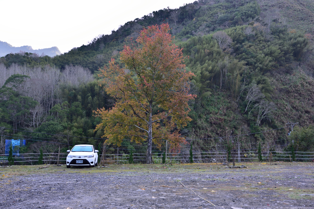 DSC_5739_7745.JPG - 20210124芝生毛台山