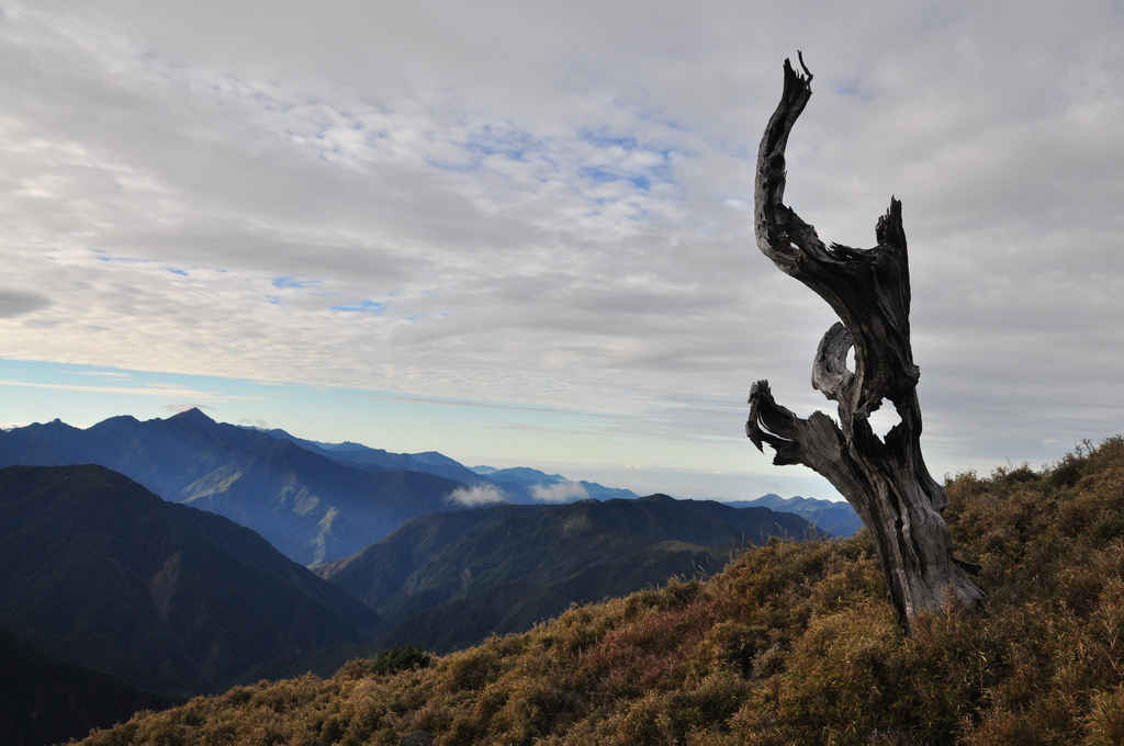 DSC_9004 (1).JPG - 2016玉山後四峰