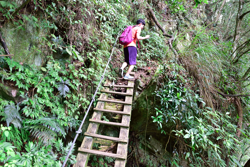 DSC_5304_7228.JPG - 20200905上島山