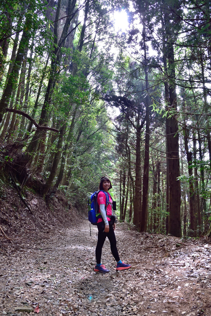 DSC_3438_6345.JPG - 0501北坑山大板根