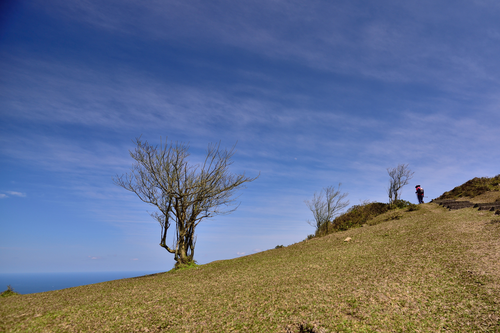 DSC_6328_8051.JPG - 20210221桃源谷