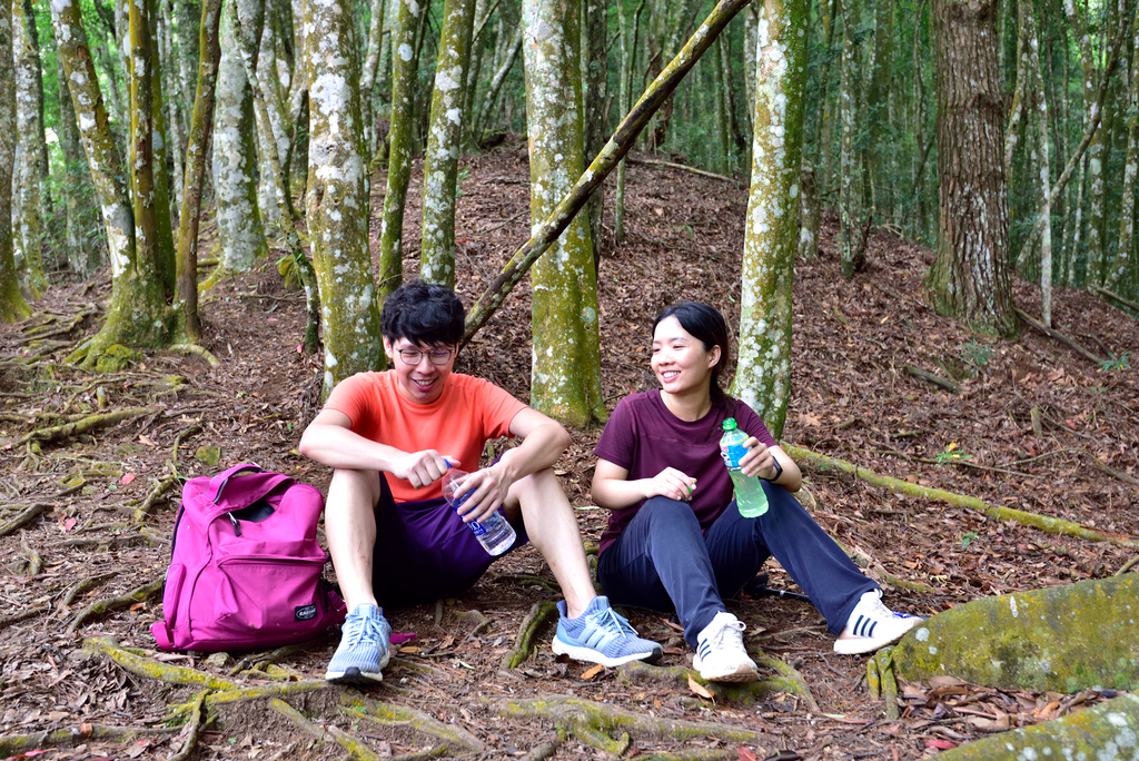 DSC_5317_7234.JPG - 20200905上島山